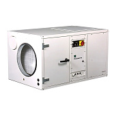 Осушитель воздуха Dantherm CDP 75 (MK II)